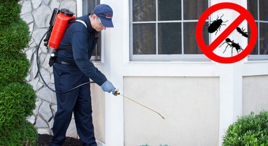 Çemişgezek Fare İlaçlama böcek ilaçlama ve haşere kontrolü — ilaclama-tr.com